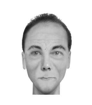 Illustration for article titled Police composite software makes realistic portraits of literary characters